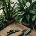 jardinier facile outils et plantes sur balcon